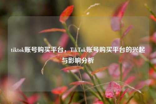 tiktok账号购买平台，TikTok账号购买平台的兴起与影响分析