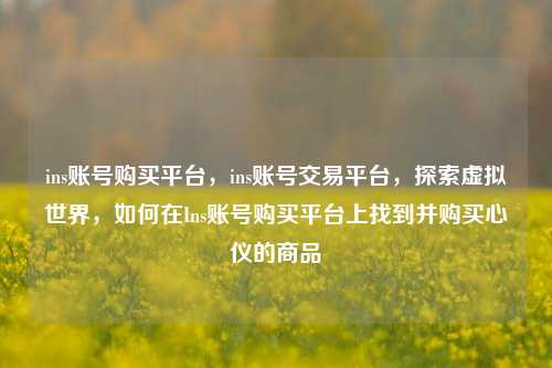 ins账号购买平台，ins账号交易平台，探索虚拟世界，如何在Ins账号购买平台上找到并购买心仪的商品