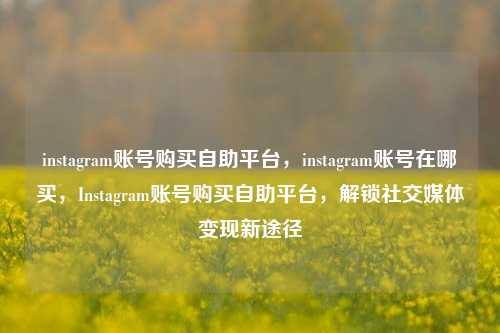 instagram账号购买自助平台，instagram账号在哪买，Instagram账号购买自助平台，解锁社交媒体变现新途径