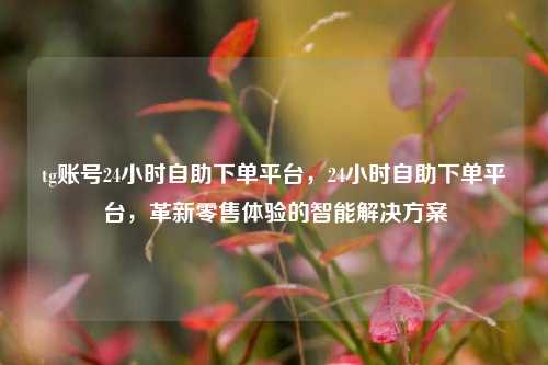 tg账号24小时自助下单平台，24小时自助下单平台，革新零售体验的智能解决方案