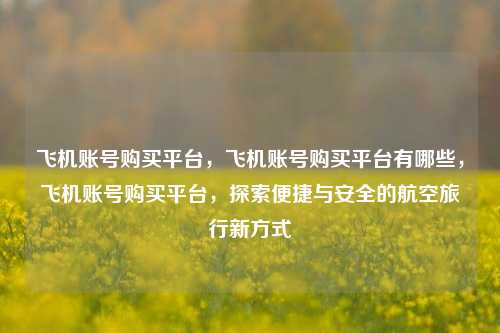 飞机账号购买平台，飞机账号购买平台有哪些，飞机账号购买平台，探索便捷与安全的航空旅行新方式