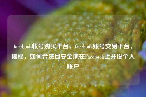 facebook帐号购买平台，facebook账号交易平台，揭秘，如何合法且安全地在Facebook上开设个人账户