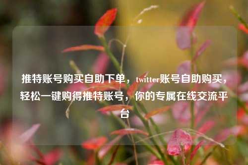 推特账号购买自助下单，twitter账号自助购买，轻松一键购得推特账号，你的专属在线交流平台