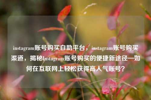 instagram账号购买自助平台，instagram账号购买渠道，揭秘Instagram账号购买的便捷新途径—如何在互联网上轻松获得高人气账号？