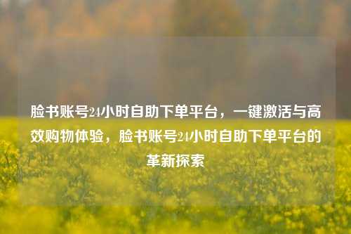 脸书账号24小时自助下单平台，一键激活与高效购物体验，脸书账号24小时自助下单平台的革新探索