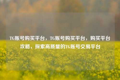 TG账号购买平台，TG账号购买平台，购买平台攻略，探索高质量的TG账号交易平台