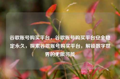 谷歌账号购买平台，谷歌账号购买平台安全稳定永久，探索谷歌账号购买平台，解锁数字世界的无限可能
