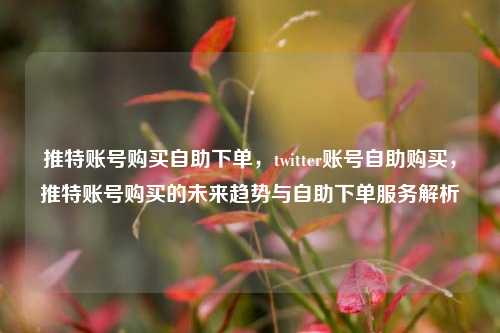 推特账号购买自助下单，twitter账号自助购买，推特账号购买的未来趋势与自助下单服务解析
