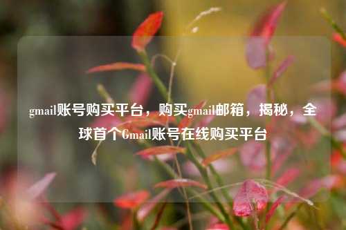 gmail账号购买平台，购买gmail邮箱，揭秘，全球首个Gmail账号在线购买平台
