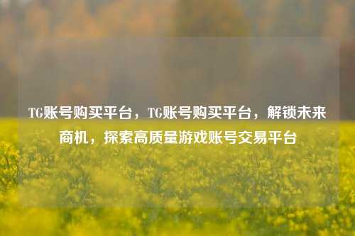 TG账号购买平台，TG账号购买平台，解锁未来商机，探索高质量游戏账号交易平台