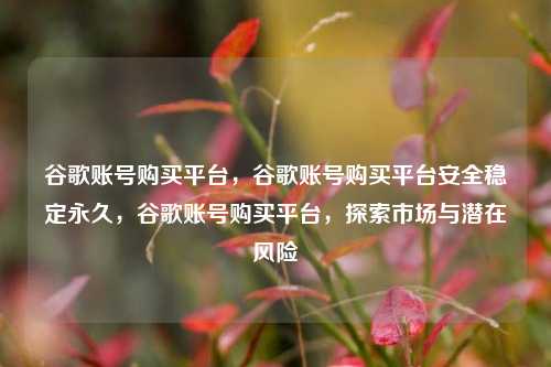谷歌账号购买平台，谷歌账号购买平台安全稳定永久，谷歌账号购买平台，探索市场与潜在风险