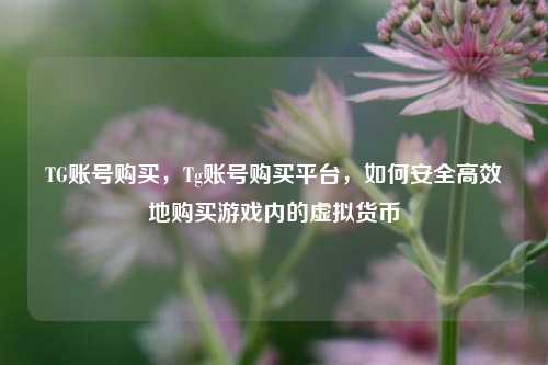 TG账号购买，Tg账号购买平台，如何安全高效地购买游戏内的虚拟货币