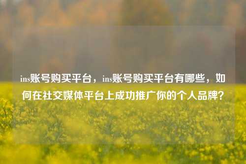 ins账号购买平台，ins账号购买平台有哪些，如何在社交媒体平台上成功推广你的个人品牌？