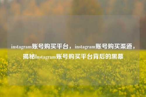 instagram账号购买平台，instagram账号购买渠道，揭秘Instagram账号购买平台背后的黑幕