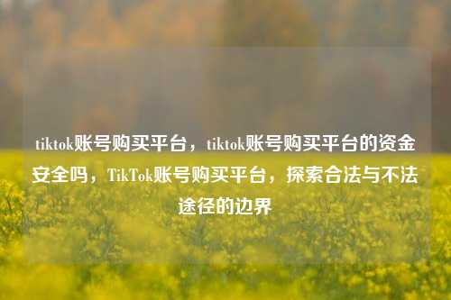 tiktok账号购买平台，tiktok账号购买平台的资金安全吗	，TikTok账号购买平台，探索合法与不法途径的边界  第1张