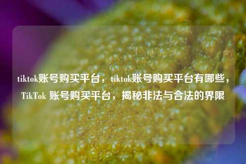 tiktok账号购买平台，tiktok账号购买平台有哪些，TikTok 账号购买平台，揭秘非法与合法的界限