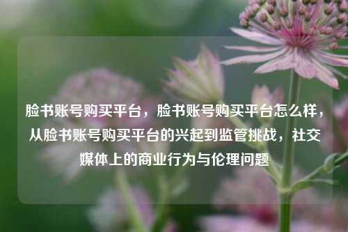 脸书账号购买平台，脸书账号购买平台怎么样，从脸书账号购买平台的兴起到监管挑战，社交媒体上的商业行为与伦理问题
