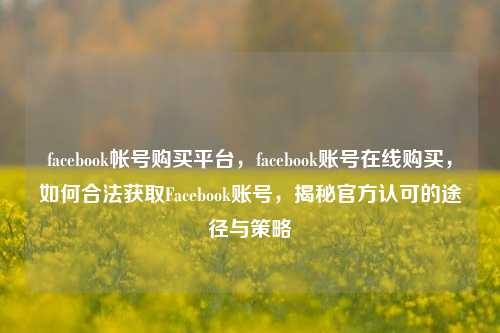 facebook帐号购买平台，facebook账号在线购买，如何合法获取Facebook账号，揭秘官方认可的途径与策略