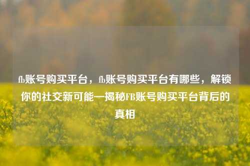 fb账号购买平台，fb账号购买平台有哪些，解锁你的社交新可能—揭秘FB账号购买平台背后的真相