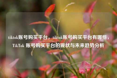 tiktok账号购买平台，tiktok账号购买平台有哪些，TikTok 账号购买平台的现状与未来趋势分析