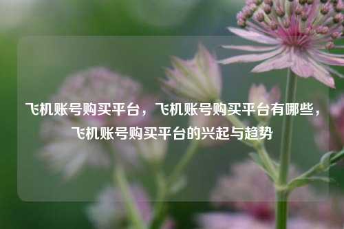 飞机账号购买平台，飞机账号购买平台有哪些，飞机账号购买平台的兴起与趋势