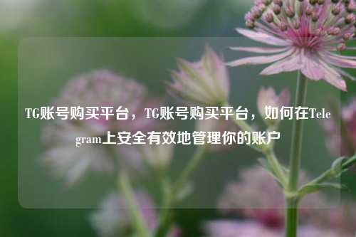 TG账号购买平台，TG账号购买平台，如何在Telegram上安全有效地管理你的账户