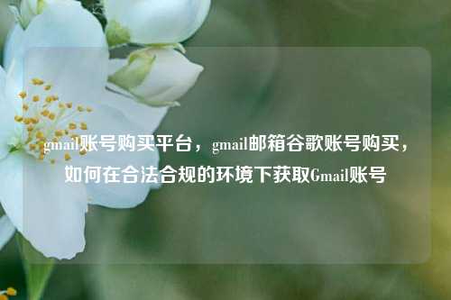 gmail账号购买平台，gmail邮箱谷歌账号购买，如何在合法合规的环境下获取Gmail账号  第1张
