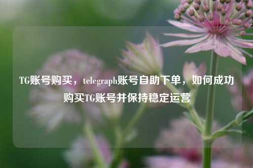 TG账号购买，telegraph账号自助下单，如何成功购买TG账号并保持稳定运营