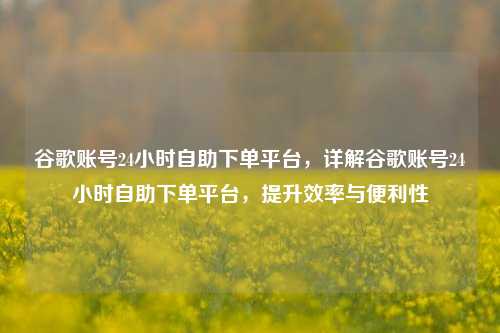 谷歌账号24小时自助下单平台，详解谷歌账号24小时自助下单平台，提升效率与便利性