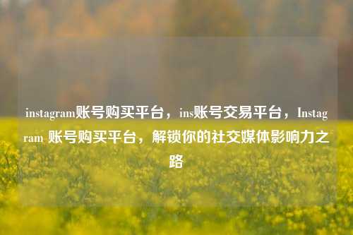 instagram账号购买平台，ins账号交易平台，Instagram 账号购买平台，解锁你的社交媒体影响力之路