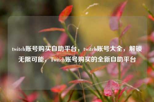 twitch账号购买自助平台，twitch账号大全，解锁无限可能，Twitch账号购买的全新自助平台