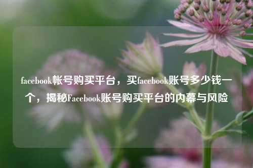 facebook帐号购买平台，买facebook账号多少钱一个，揭秘Facebook账号购买平台的内幕与风险