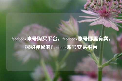 facebook帐号购买平台，facebook账号哪里有卖，探秘神秘的Facebook账号交易平台