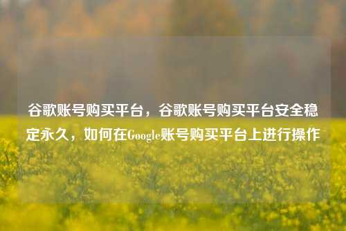 谷歌账号购买平台，谷歌账号购买平台安全稳定永久，如何在Google账号购买平台上进行操作
