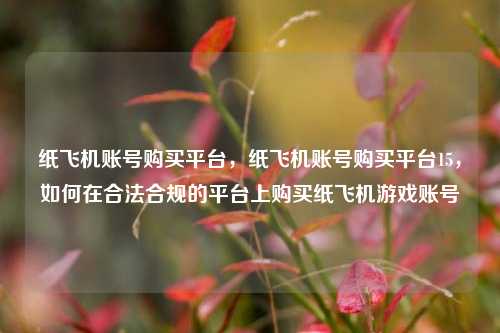 纸飞机账号购买平台，纸飞机账号购买平台15，如何在合法合规的平台上购买纸飞机游戏账号  第1张