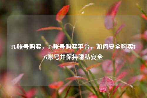 TG账号购买，Tg账号购买平台，如何安全购买TG账号并保持隐私安全