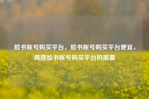 脸书账号购买平台，脸书账号购买平台便宜，揭露脸书账号购买平台的黑幕