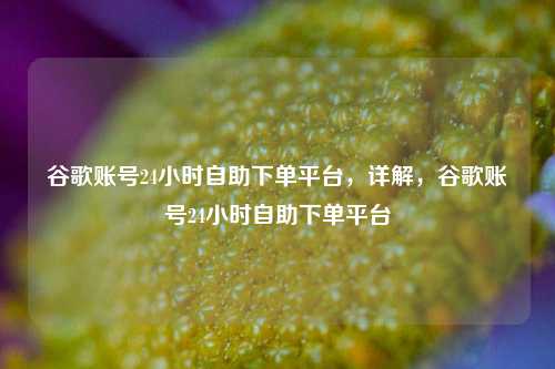 谷歌账号24小时自助下单平台，详解，谷歌账号24小时自助下单平台