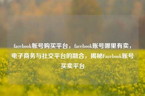 facebook帐号购买平台，facebook账号哪里有卖，电子商务与社交平台的融合，揭秘Facebook账号买卖平台