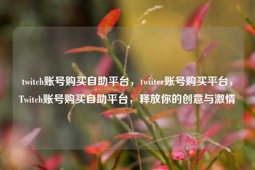 twitch账号购买自助平台，twiiter账号购买平台，Twitch账号购买自助平台，释放你的创意与激情