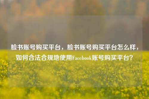 脸书账号购买平台，脸书账号购买平台怎么样，如何合法合规地使用Facebook账号购买平台？