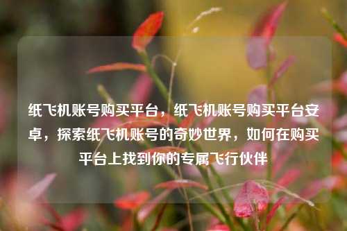 纸飞机账号购买平台，纸飞机账号购买平台安卓，探索纸飞机账号的奇妙世界，如何在购买平台上找到你的专属飞行伙伴