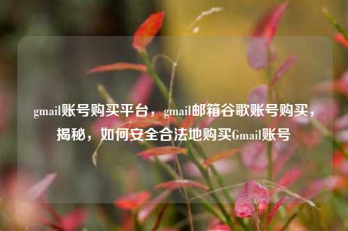 gmail账号购买平台，gmail邮箱谷歌账号购买，揭秘，如何安全合法地购买Gmail账号