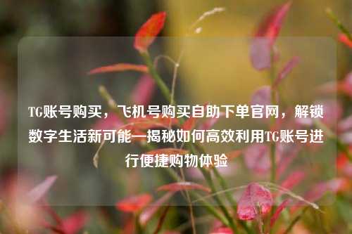 TG账号购买，飞机号购买自助下单官网，解锁数字生活新可能—揭秘如何高效利用TG账号进行便捷购物体验