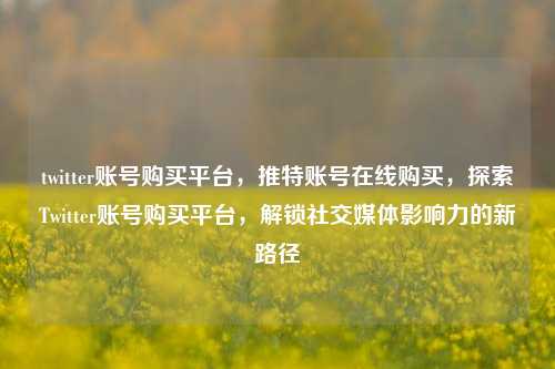twitter账号购买平台，推特账号在线购买，探索Twitter账号购买平台	，解锁社交媒体影响力的新路径  第1张
