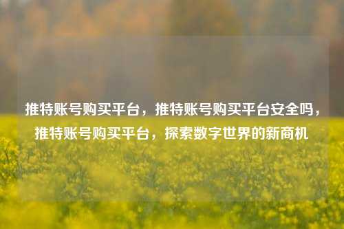 推特账号购买平台，推特账号购买平台安全吗，推特账号购买平台，探索数字世界的新商机