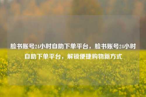 脸书账号24小时自助下单平台，脸书账号24小时自助下单平台，解锁便捷购物新方式