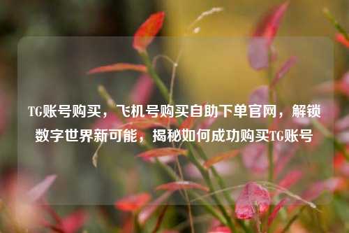 TG账号购买，飞机号购买自助下单官网，解锁数字世界新可能，揭秘如何成功购买TG账号
