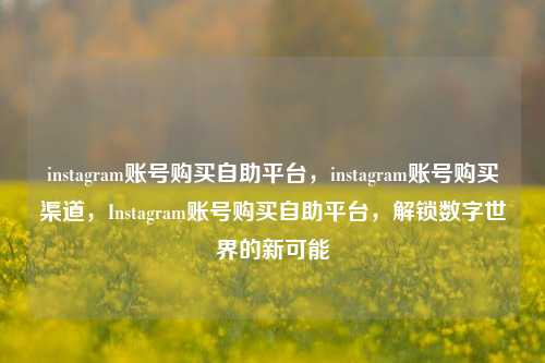 instagram账号购买自助平台	，instagram账号购买渠道，Instagram账号购买自助平台，解锁数字世界的新可能  第1张