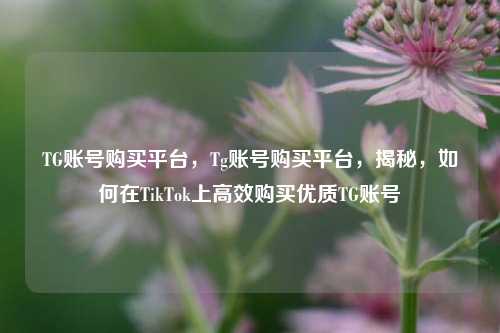 TG账号购买平台，Tg账号购买平台	，揭秘，如何在TikTok上高效购买优质TG账号  第1张